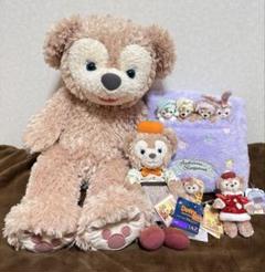 【新品·未使用】ダッフィー シェリーメイ キーホルダー オータムスリーパー 未使用 ダッフィー シェリーメイ キーホルダー ディズニー