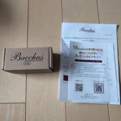 Bacchus 【入荷待ち、ご予約受付中】 WJB5-1DX-AC RSM/M (CAR