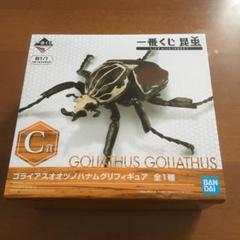 ゴライアスオオツノハナムグリの中古 未使用品を探そう メルカリ ゴライアスオオツノハナムグリの中古 未使用品を探そう メルカリ