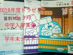 新品未使用 ドラゼミ 小学6年生 中学1年生向け 問題集 国語 算数