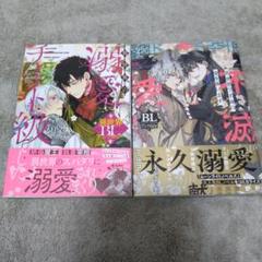 BL本まとめ売り BL本 大量出品 まとめ売り(40冊) - メルカリ