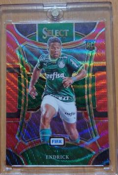 panini select ENDRICK 121/149 RC