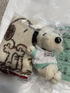 15時までお値下げ　Peanuts LIFE&TIMES スヌーピー ぬいぐるみ room & closet | Peanuts LIFE & TIMES | 神戸阪急 | 阪急百貨店