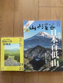 2025年最新】山と渓谷 低山の人気アイテム - メルカリ