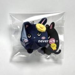 RIIZE ペンミ ウォンビン トニャンドク 落下物 ぬいぐるみバッジ バズーカ RIIZE 40cm ぬいぐるみ ウォンビン トニャンドク