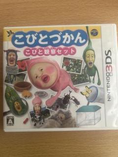 こびとづかん こびと観察セット