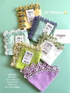 All flowers⭐️新品レア6枚set⭐️ラベンダー　旧ミモザ　シロツメクサ All flowers⭐️新品レア6枚set⭐️ラベンダー旧ミモザシロツメクサ