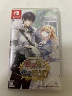テミラーナ国の強運姫と悲運騎士団　Switch