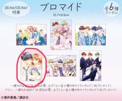 どうせ、恋してしまうんだ。　特典　4種セット どうせ、恋してしまうんだ』6巻 購入特典 紀伊國屋書店限定