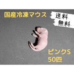 ☆一部送料無料　自家繁殖！冷凍マウス22g～　126匹！☆ 冷凍☆富城 アダルトマウスM(10匹) 冷凍マウス 別途クール手数料