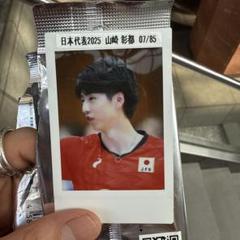 WOLFDOGS NAGOYA 山崎彰都　山田修造　サイン入りフォトアルバム 2025年最新】山崎彰都の人気アイテム - メルカリ