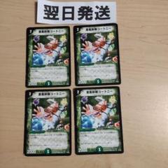 ⒆初期版旧枠 薫風妖精コートニー