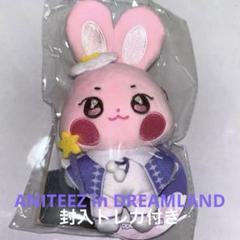 ATEEZ トンビョリ ANITEEZ in DREAMLAND キーリング - メルカリ