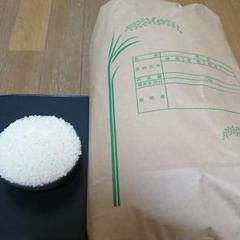 令和元年産 御殿場コシヒカリ 特A米 10キロ 精米済 農家直送