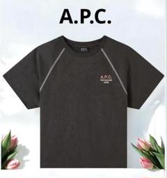 APC A.P.C. アーペーセー 半袖 Tシャツ ロゴ刺繍 ブランド古着】APC / アーペーセー ロゴ刺繍 半袖Tシャツ | 半袖