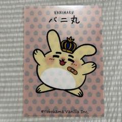 バニ丸 クリアファイル 3/27限定出品 - クリアファイル