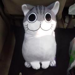 5つセットキュルガ BIGぬいぐるみ 夜は猫といっしょ GIGO キュルガ BIGぬいぐるみ 夜は猫といっしょ GIGO - メルカリ