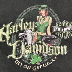 ハーレー　vintage tシャツ Harley Davidson