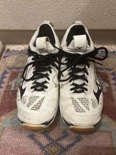 Mizuno バレーボールシューズ ウェーブモーメンタム 24cm
