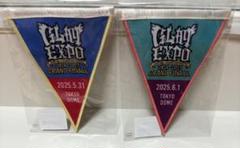 GLAY EXPO 東京ドーム ガーランドバッジ　2daysセット売り GLAY EXPO 東京ドーム ガーランドバッジ 2daysセット売り - メルカリ