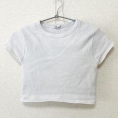 ホワイト 半袖Tシャツ Lサイズ クロップド丈のサムネイル
