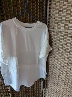 ホワイト メッシュパネル Tシャツ Fサイズ