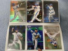 プロ野球チップス カードホルダー プロチ カードファイル