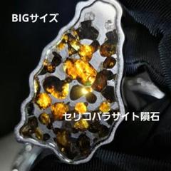2025年最新】セリコ隕石の人気アイテム - メルカリ