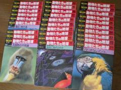 週間朝日百科「動物たちの地球」全巻144冊、収納用バインダー