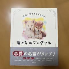 男と女はワンダフル