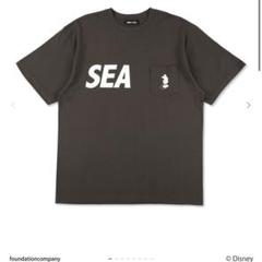 ウィンダンシー　WIND AND SEA ディズニー　半袖Tシャツ ダークグレー