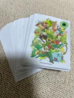 ポケモンカードゲーム　タイプファイターズ　草・炎・水 新品未開封　3点セット ポケモンセンター限定『デッキシールド タイプファイターズ 炎