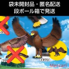 ガチャ ガシャ 鳥たちの世界 イヌワシのサムネイル