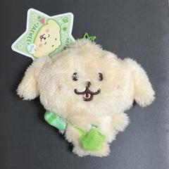 2025年最新】nct wish ジェヒ ぬいぐるみの人気アイテム - メルカリ