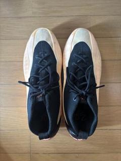 AE1 30センチ