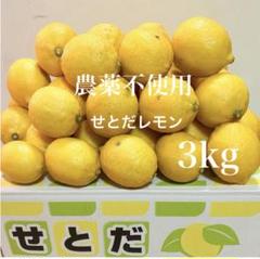 17国産瀬戸田レモン9kg前後 77国産瀬戸田レモン 3kg前後 - メルカリ