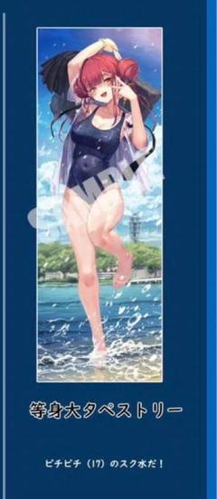 宝鐘マリン 等身大タペストリー ホロライブ C99 等身大タペストリーA(宝鐘マリン)【@Loppi・HMV限定