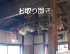 編み上げブーツ白