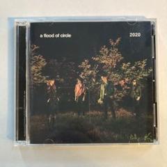ミュージック a flood of circle LOVE IS DVD a flood of circle／LIVE DVD「LOVE IS LIKE A ROCK'N'ROLL The