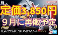 RG RX-78-2 ガンダムver2.0 の最終進化形Hi-ν（ジャンク） RG RX-78-2 ガンダムver2.0 の最終進化形Hi-ν（ジャンク）