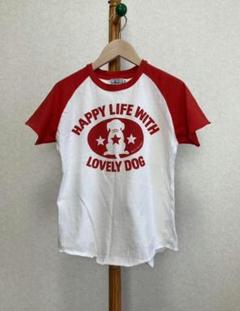 ラブラドール 半袖 Tシャツ ラブラドールリトリーバー 犬 ラブラ　S