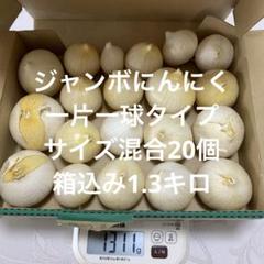 【在庫僅少】 ジャンボニンニク大中小玉ランダム箱込み12キロ 野菜