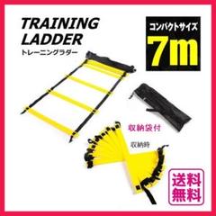 【大好評!特価】トレーニング ラダー 収納袋付き トレーニング フィットネス