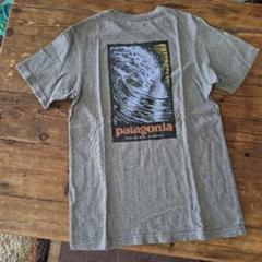 レア■patagonia　オーガニック100%
