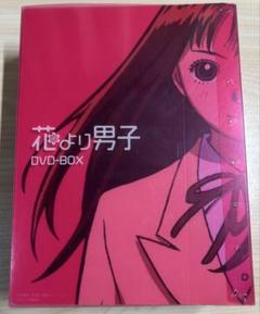 【初回生産限定】花より男子 DVD-BOX 10枚組 花より男子 DVD-BOX｜STARTO ENTERTAINMENT