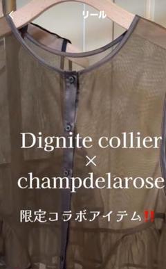 2024新品Dignite collier ジレチャコールロンTおまけ付き