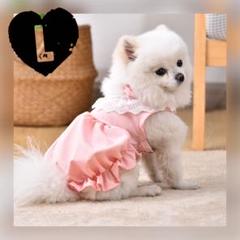 ♥︎︎完成品S♥︎︎ ハンドメイド犬服 メルヘンうさぎ フリル バルーンワンピース 犬服 NO.61バルーンワンピース ハンドメイド （ハンドメイド