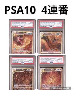 ４連番　パルキア　ディアルガ　アルセウス　ギラティナvstar PSA10 PSA10 パルキア・ディアルガ・ギラティナ・アルセウス vstar 4連