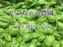 農家直送 初物 新鮮野菜 バジル ばじる