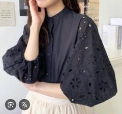 moment+ 刺繍レースボリューム袖スタンドカラーブラウス